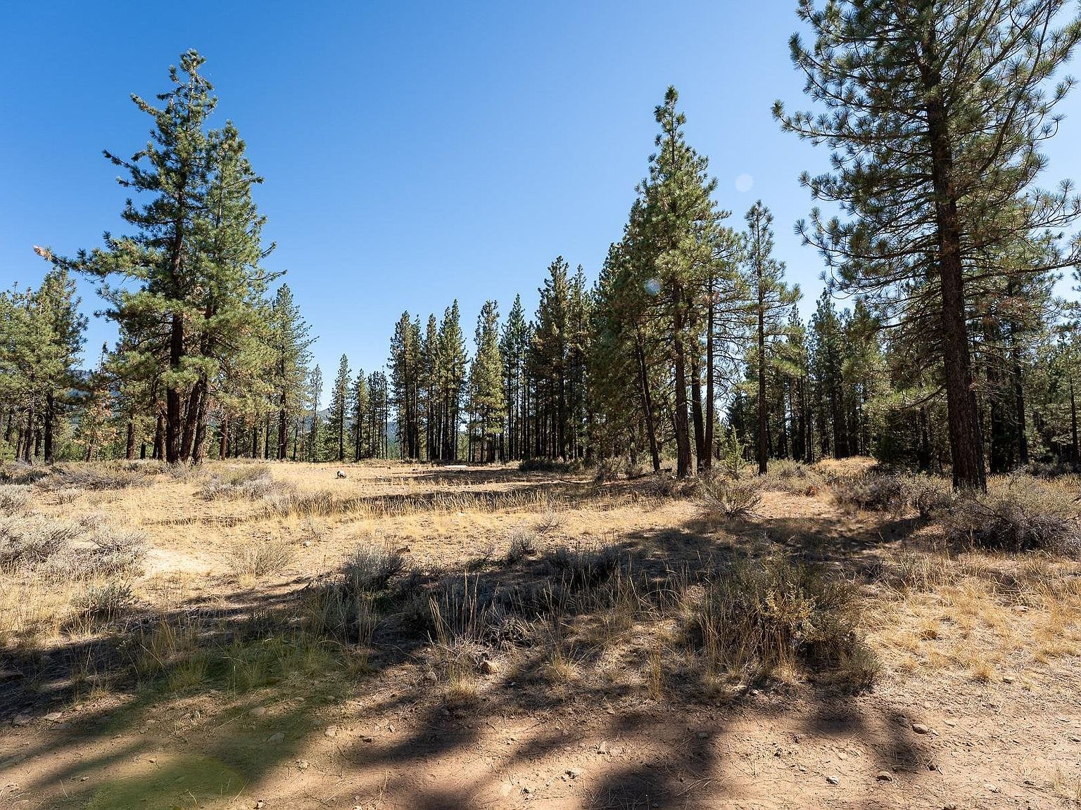 167 Cougar Way Portola, CA 96122 - Thumbnail 4