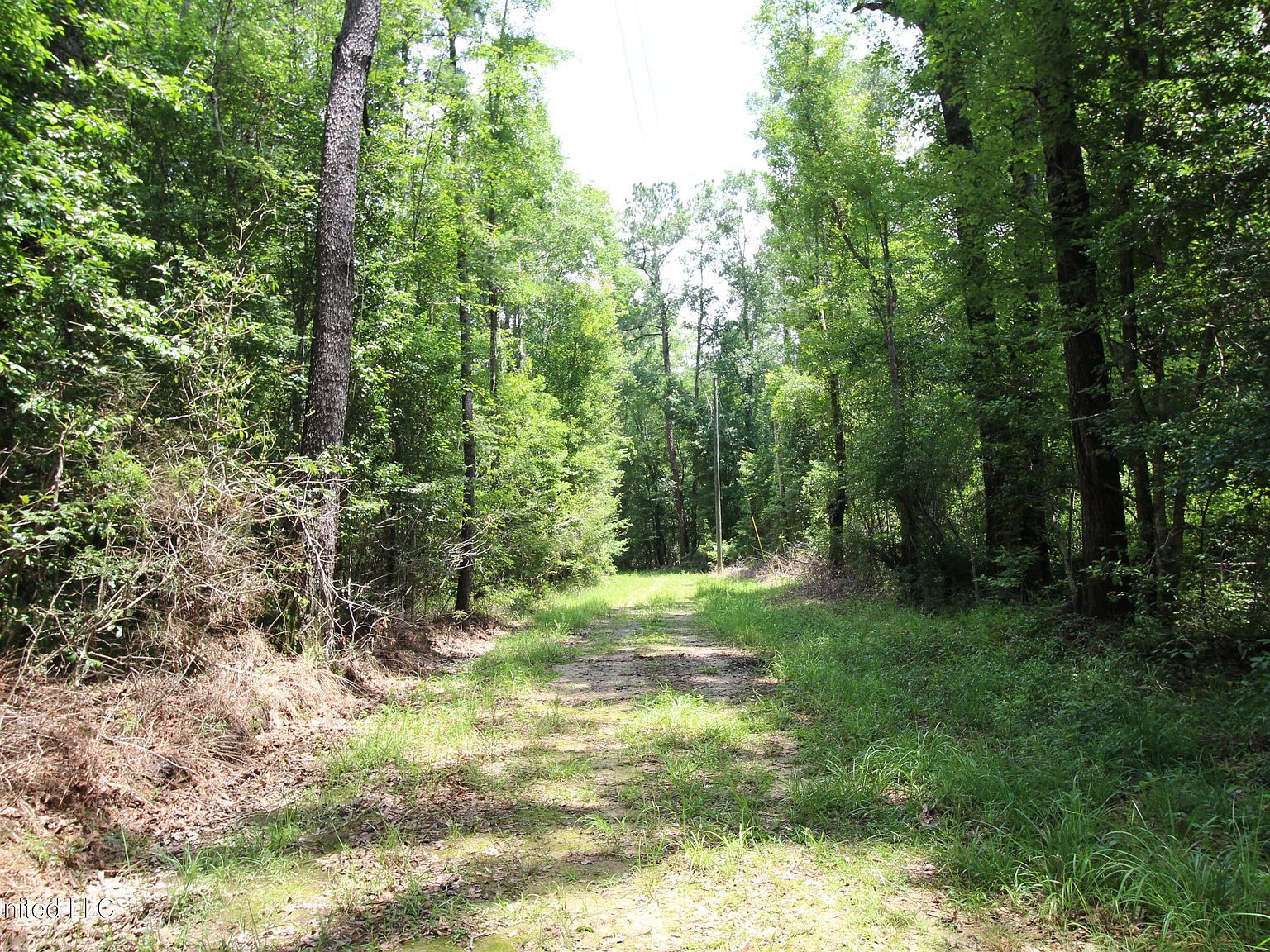 177/AC Burnis Havard Rd Perkinston, MS 39573 - Thumbnail 4