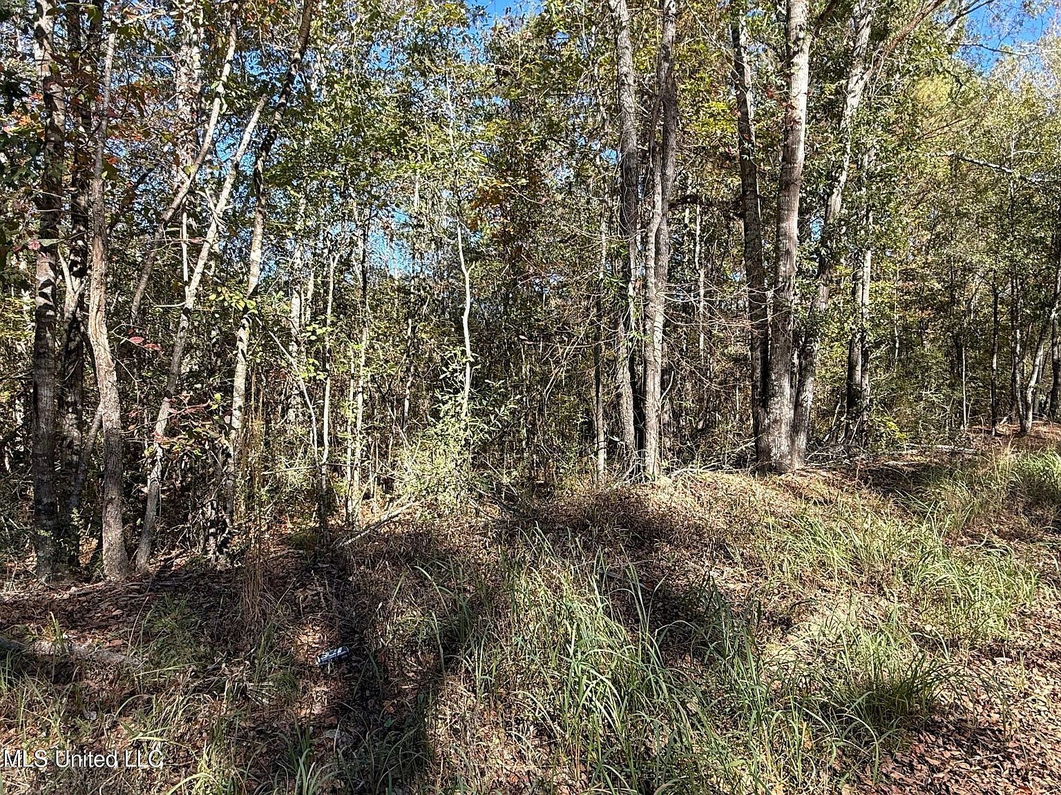 Knobtown Rd, State Line, MS, 39362 - Thumbnail 4