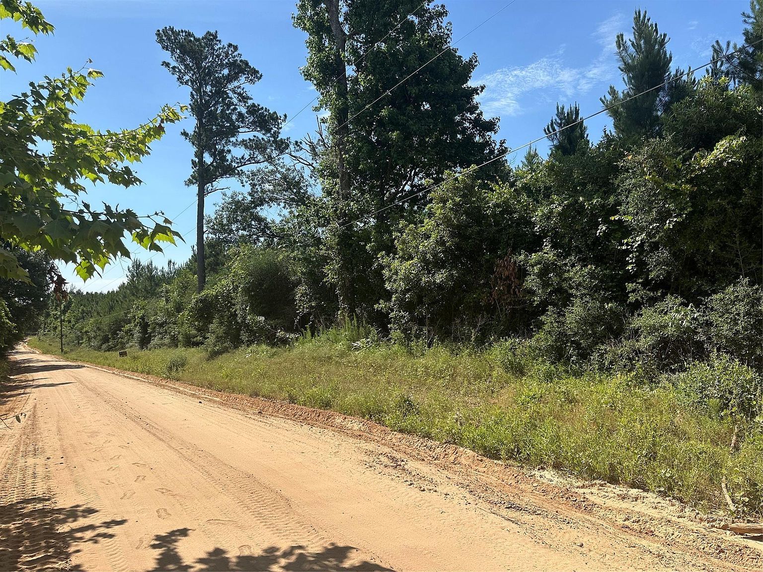 Oakdale Loop Livingston, TX 77351 - Thumbnail 4