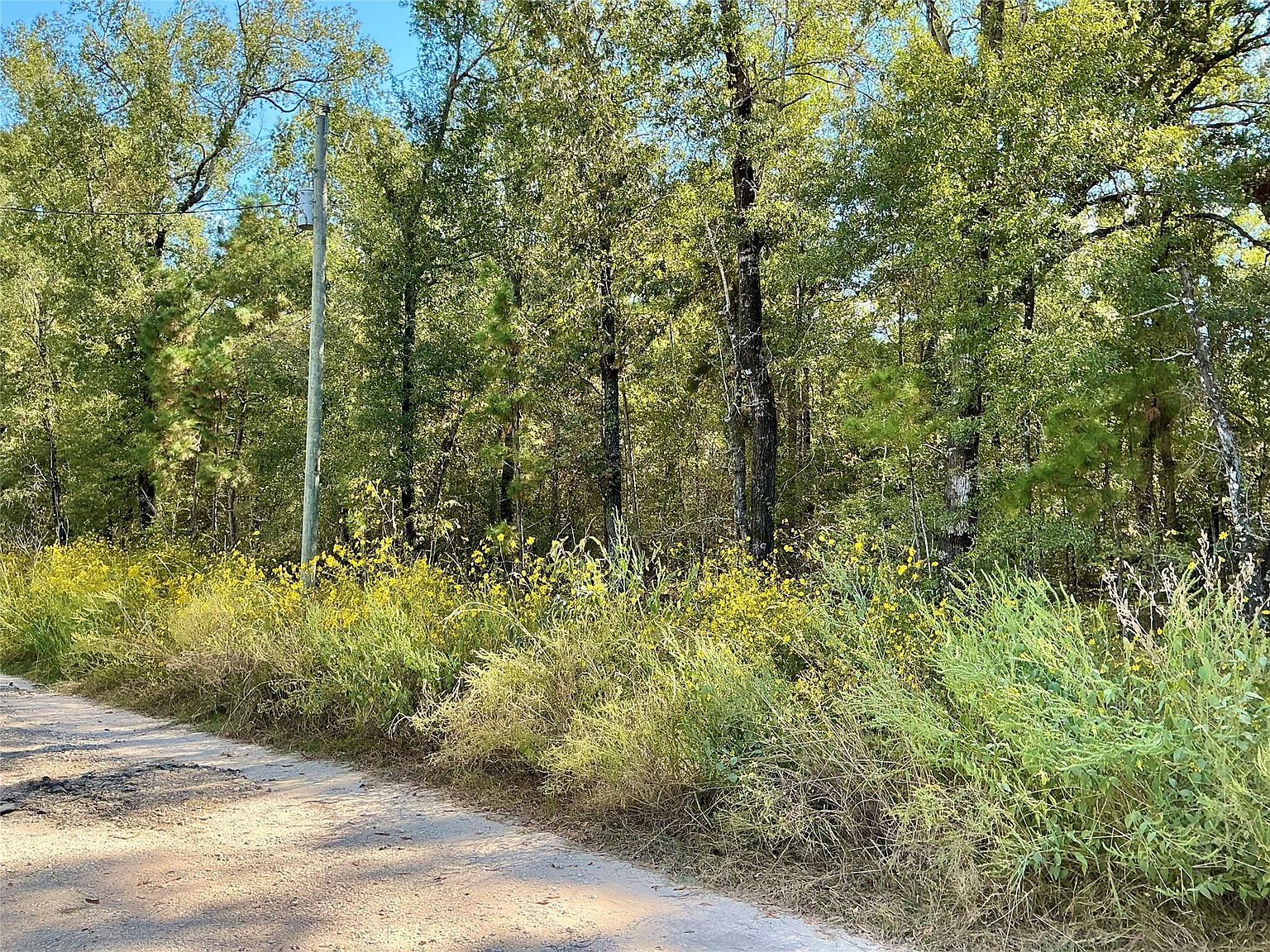 Wendy Way Livingston, TX 77351 - Thumbnail 4