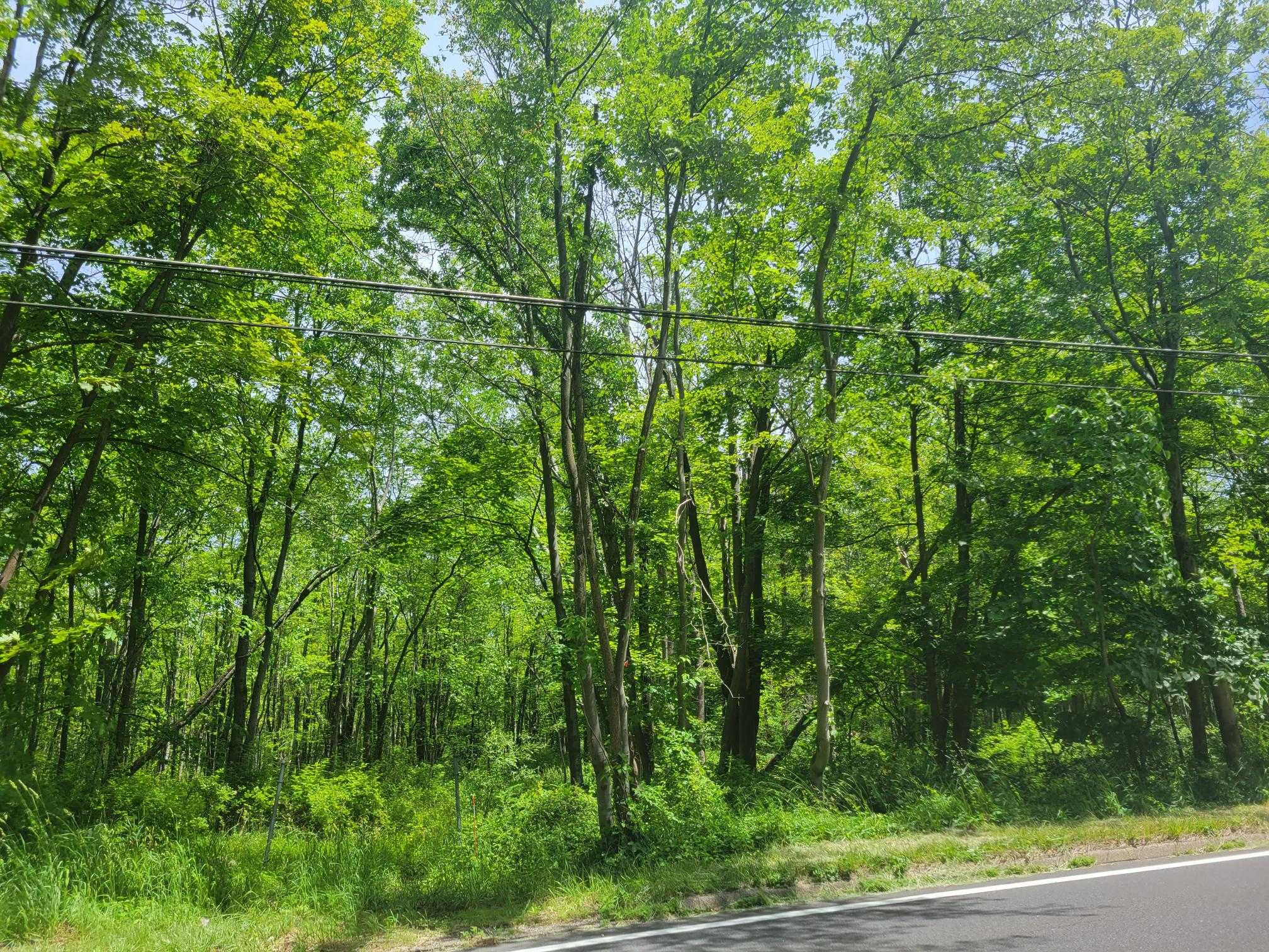 170 Schooleys Mountain Road, Long Valley, NJ, USA, Washington Township, 7853  | Land/Lot