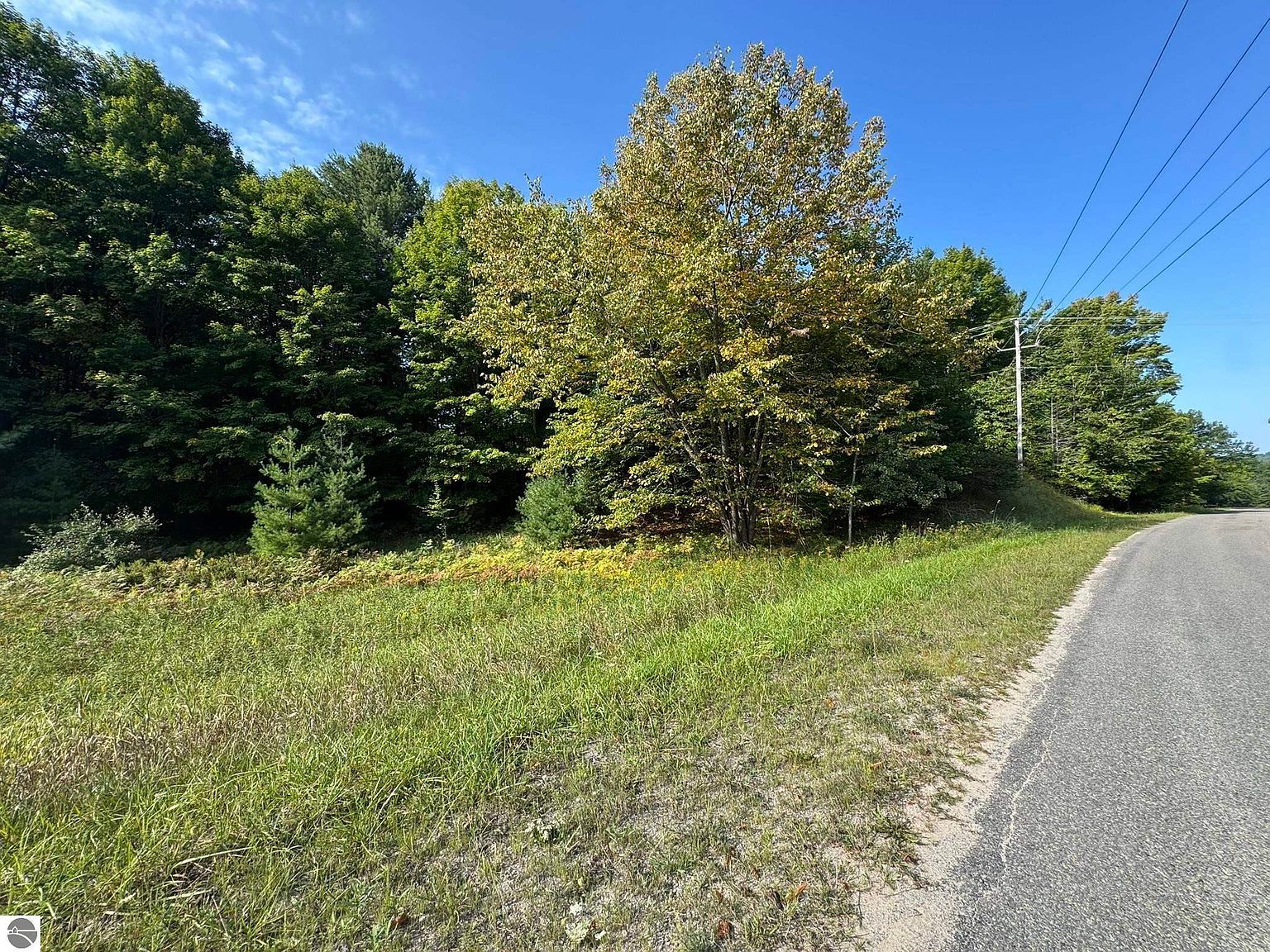 LOT 5 E Old Mountain Rd Cedar, MI 49621 - Thumbnail 4