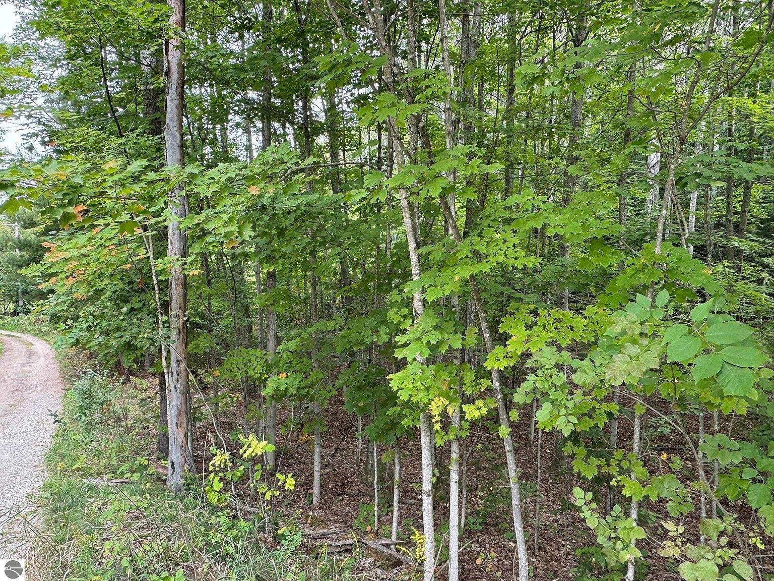 LOT 4 E Old Mountain Rd Cedar, MI 49621 - Thumbnail 4