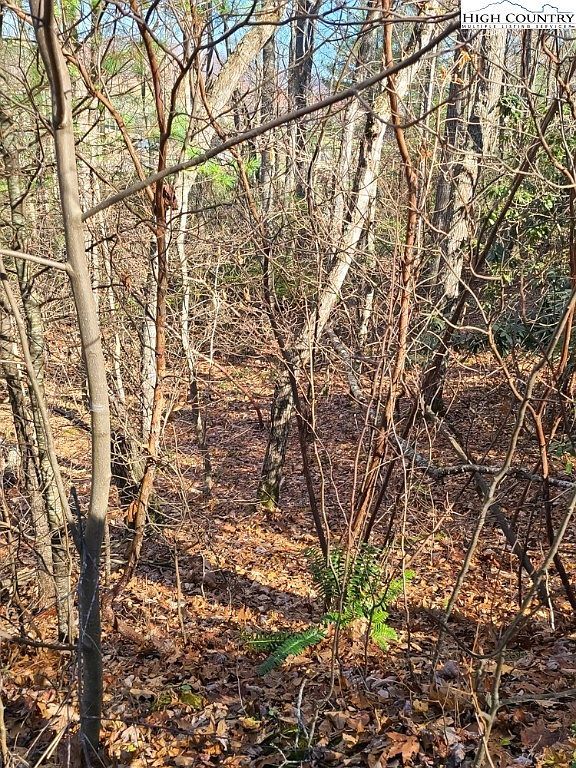 24 Highland Meadows Ct Fleetwood, NC 28626  | Land/Lot