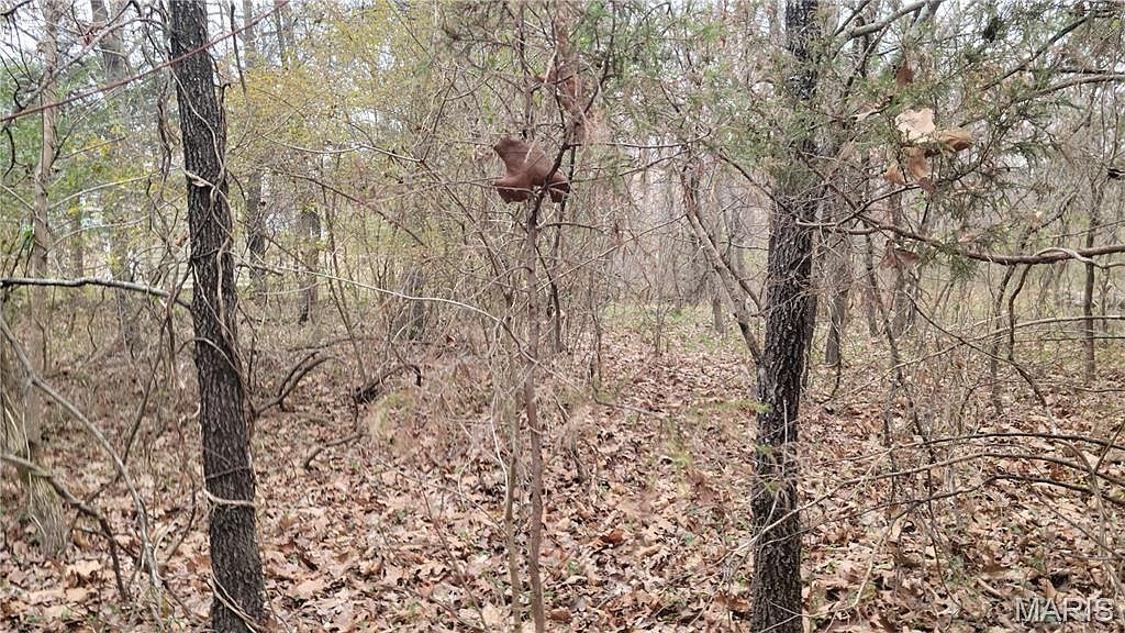 339 Oak Rd Cuba, MO 65453 - Thumbnail 4