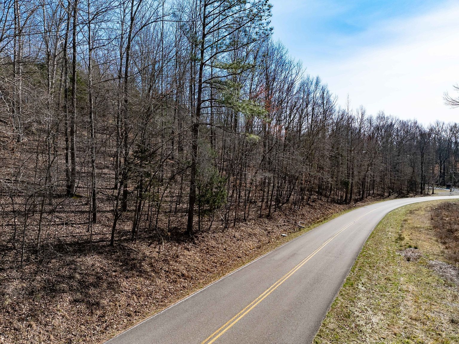 0 Deer Hollow Dr LOT 184 Parsons, TN 38363 - Thumbnail 4