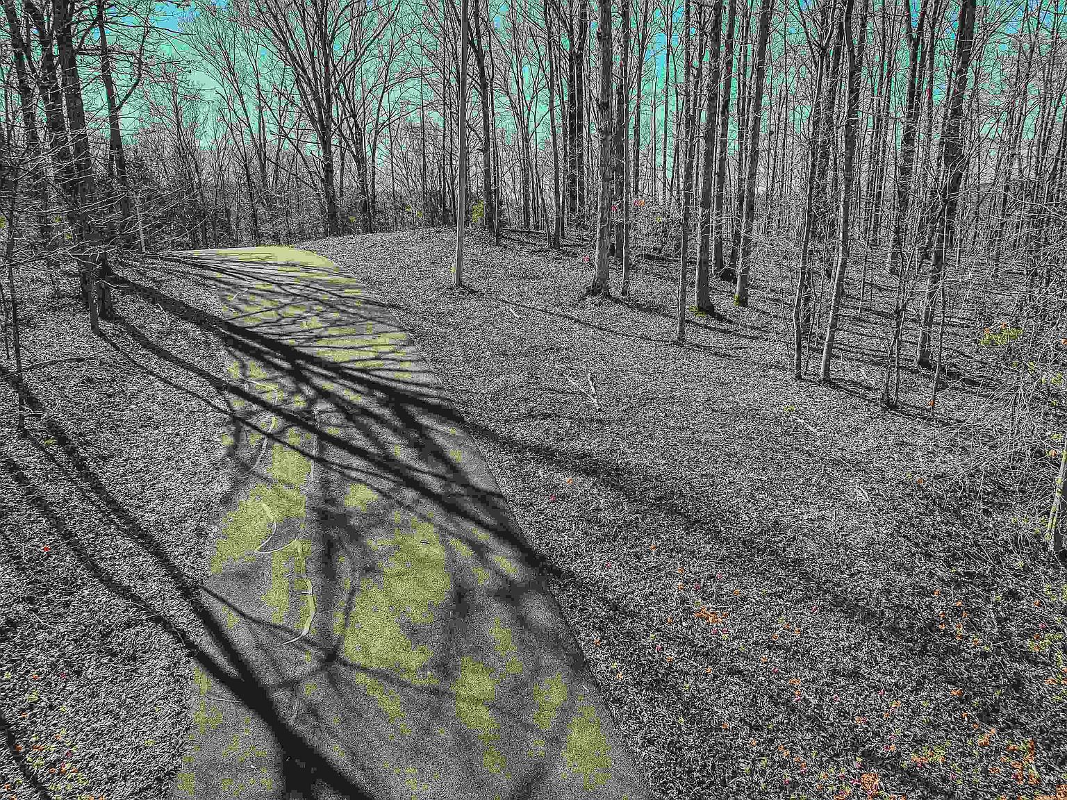 LOT 425 Fawn Ridge Rd Parsons, TN 38363 - Thumbnail 4