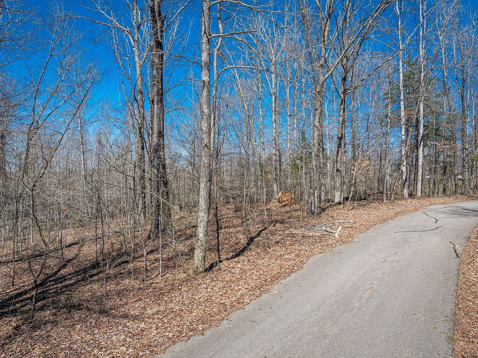0 Featherfoot Parkway Loop LOT 80 Parsons, TN 38363 - Thumbnail 4