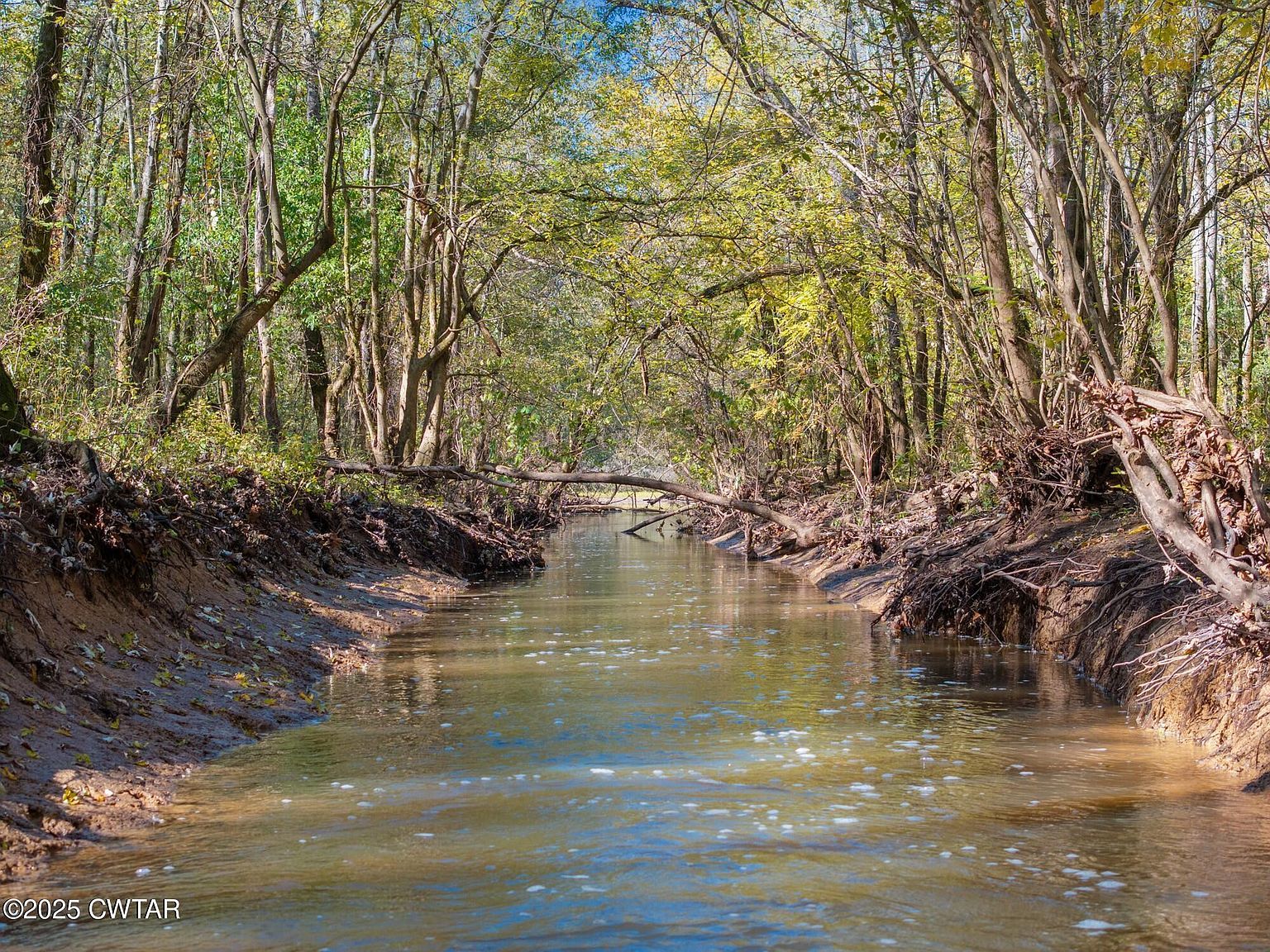 0 Dr Fisher Ln Decaturville, TN 38329 - Thumbnail 4