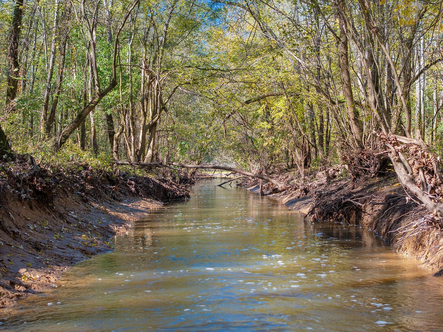 0 Doctor Fisher Ln Decaturville, TN 38329 - Thumbnail 4