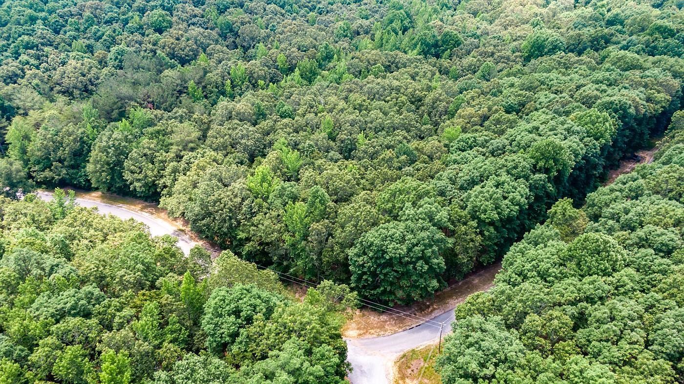 334 Logger Ln Cedar Grove, TN 38321 - Thumbnail 4