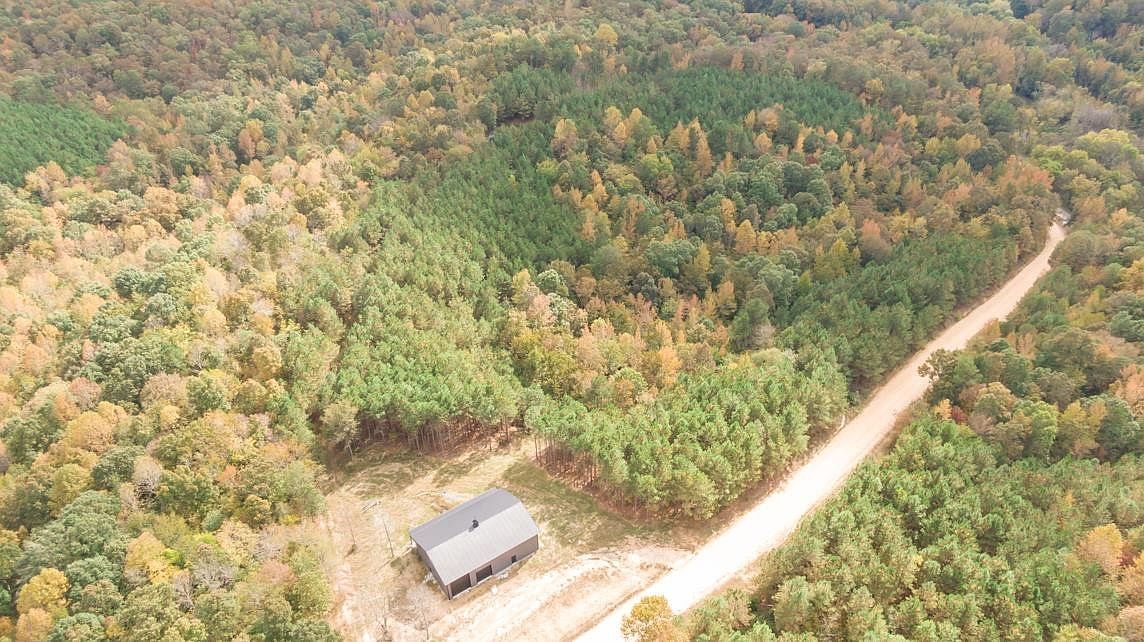 190 Pine Tree Dr Parsons, TN 38363 - Thumbnail 4