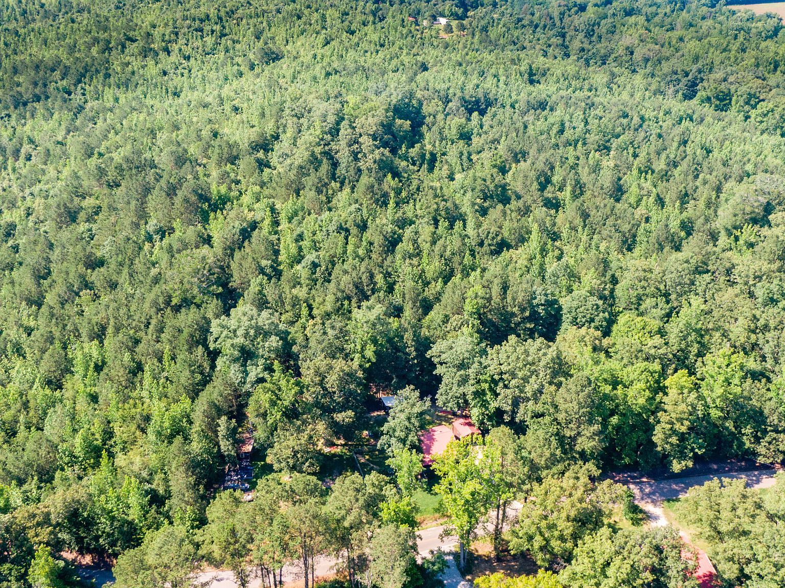 546 N Morgan Creek Rd Sugar Tree, TN 38380 - Thumbnail 4