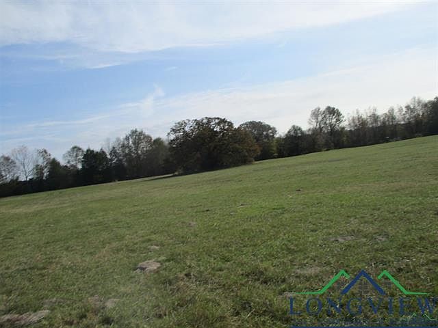 0 E Us Highway 79 Henderson, TX 75652 - Thumbnail 4