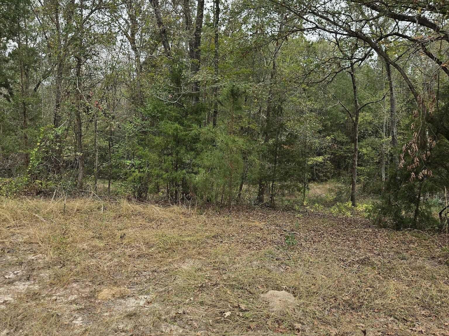 0 County Road 474 Price, TX 75687 - Thumbnail 4