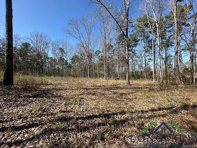 Fm 1662 W Laneville, TX 75667 - Thumbnail 4