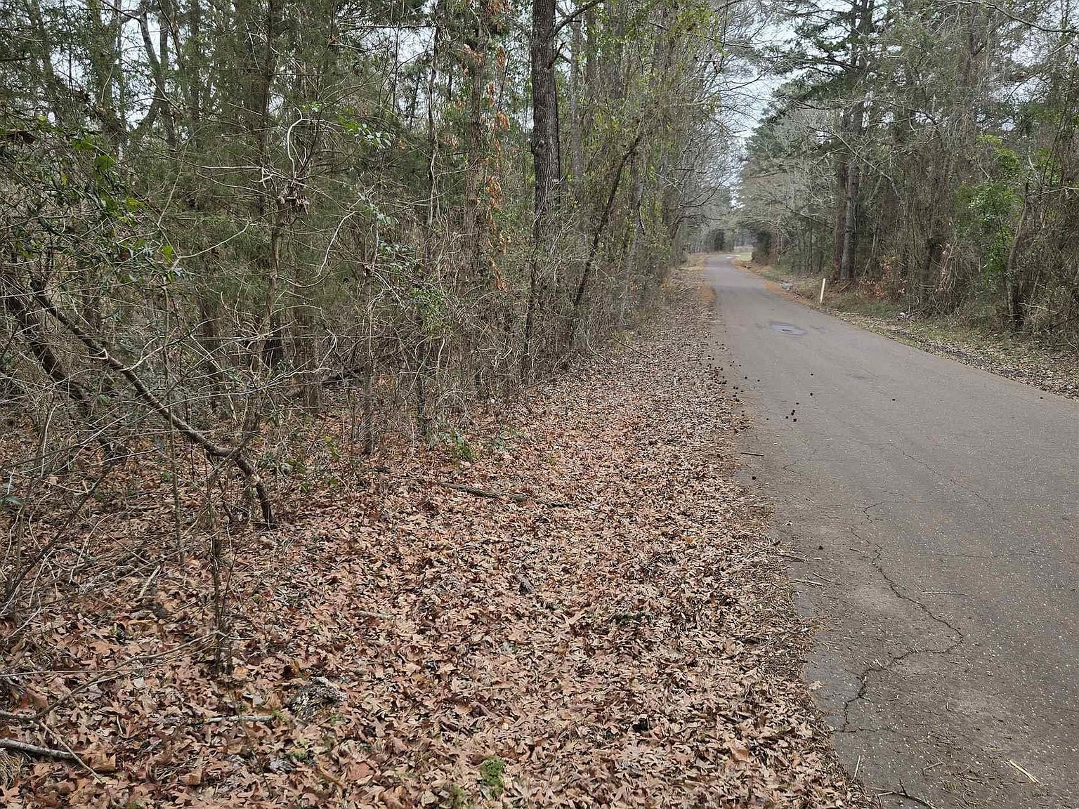 0 County Road 3206 Laneville, TX 75667  | Land/Lot