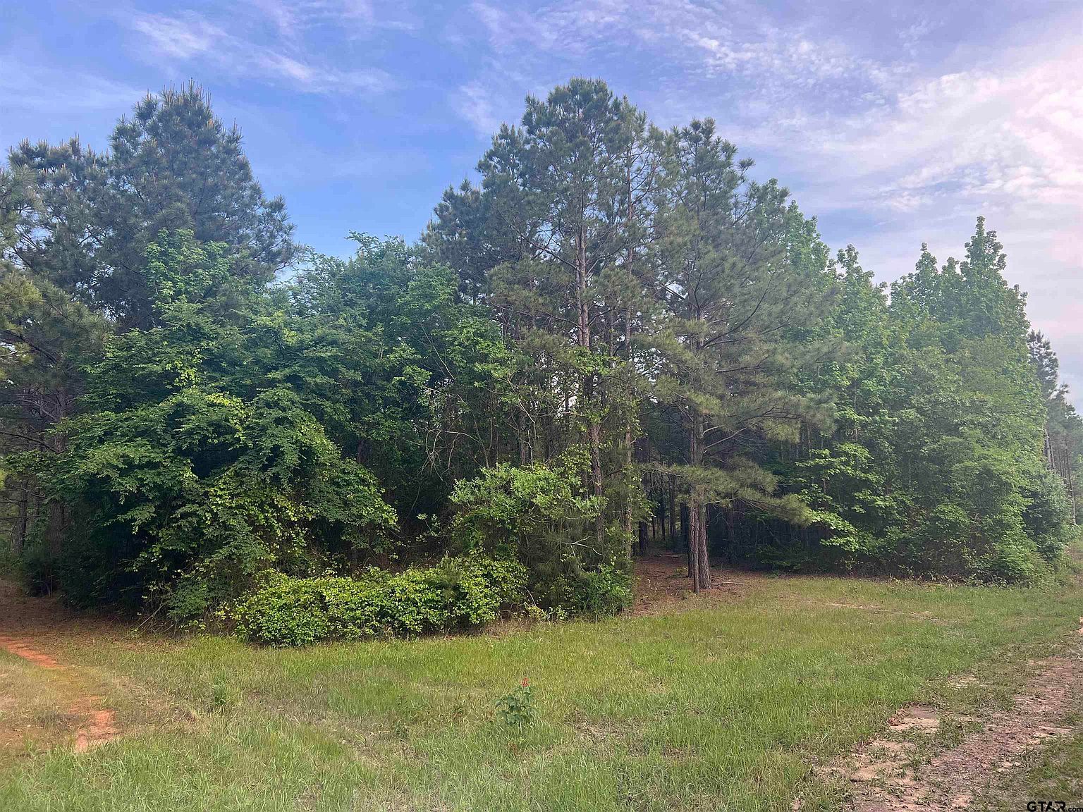 TRACT 3 County Road 477 W Henderson, TX 75654 - Thumbnail 4