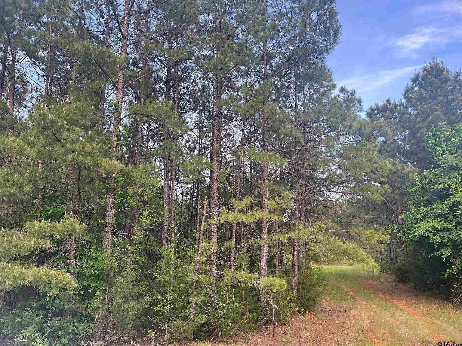 TRACT 2 County Road 477 W Henderson, TX 75654 - Thumbnail 4