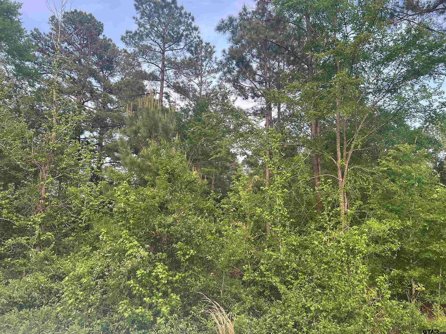 TRACT 1 County Road 477 W Henderson, TX 75654 - Thumbnail 4