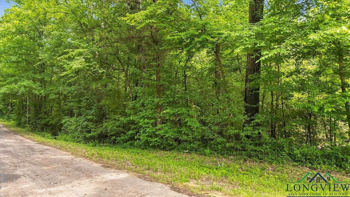 10 Fm Gary, TX 75643 - Thumbnail 4