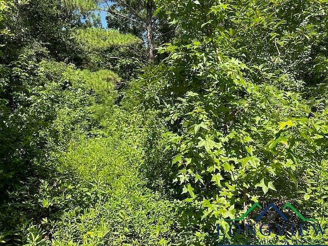 Tbd E Highway 79 Henderson, TX 75652 - Thumbnail 4