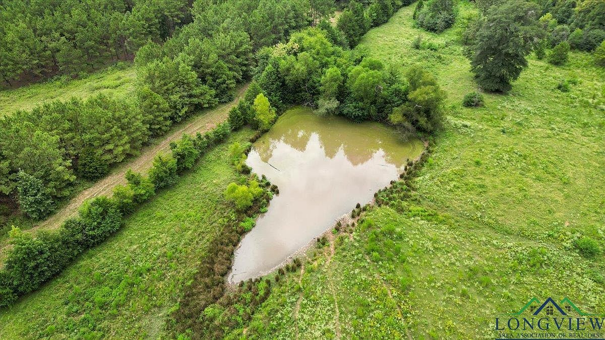 10434 County Road 366 E Henderson, TX 75654 - Thumbnail 4