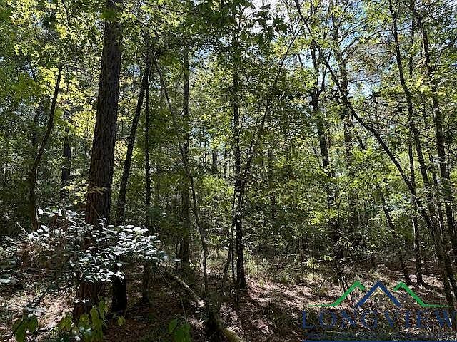 County Road 4682 Carthage, TX 75633 - Thumbnail 4