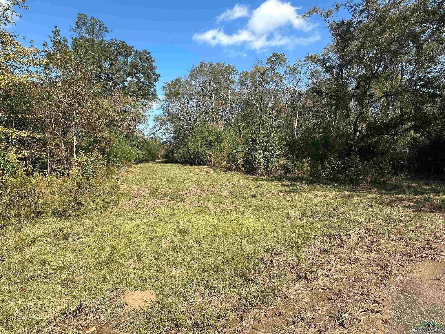 Fm 124 Beckville, TX 75631 - Thumbnail 4