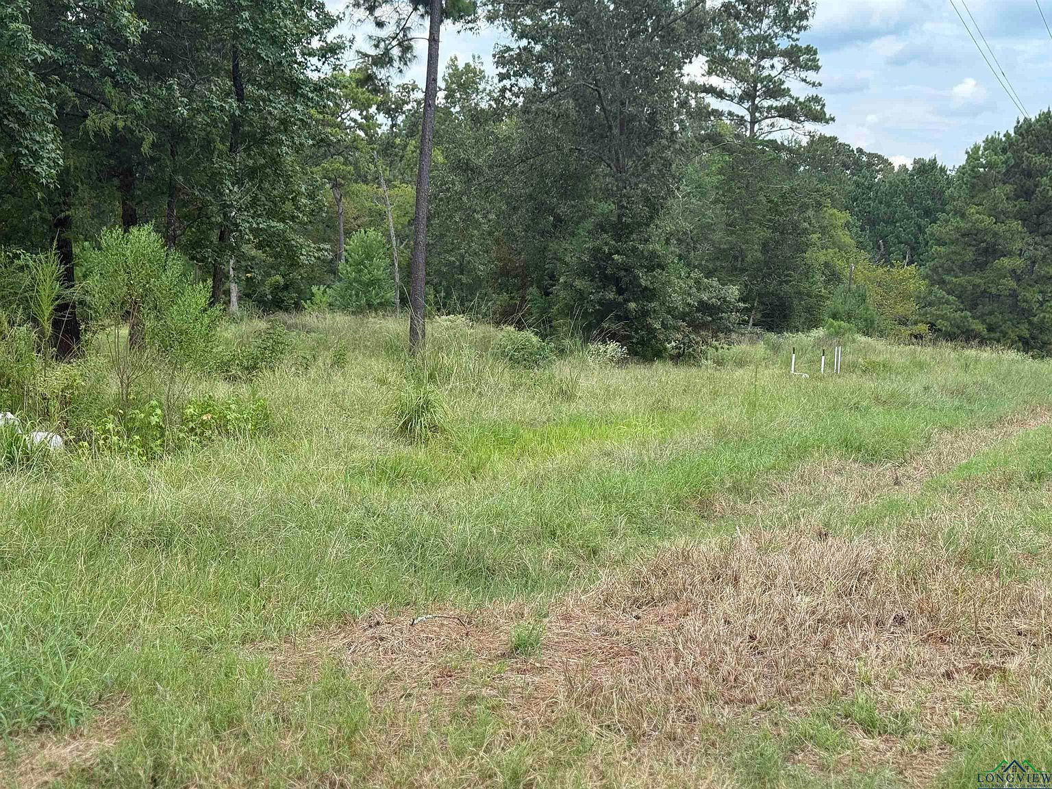 12543 N Fm 225 Cushing, TX 75760 - Thumbnail 4