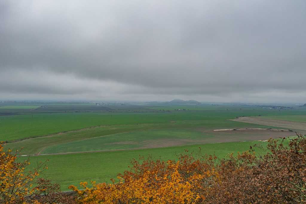 29015 Brownsville Road, Brownsville, OR, USA, 97327 - Thumbnail 4