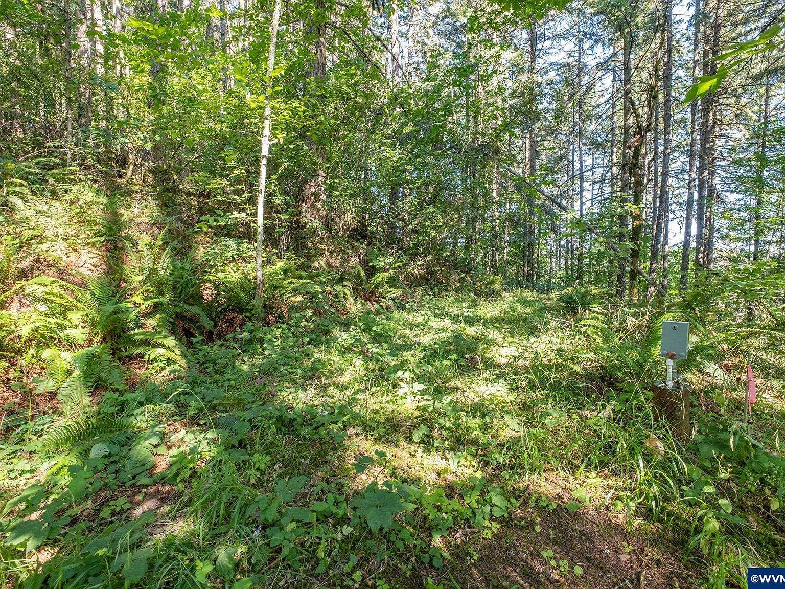 Tl 1400 Bartels Creek Dr Lebanon, OR 97355 - Thumbnail 4