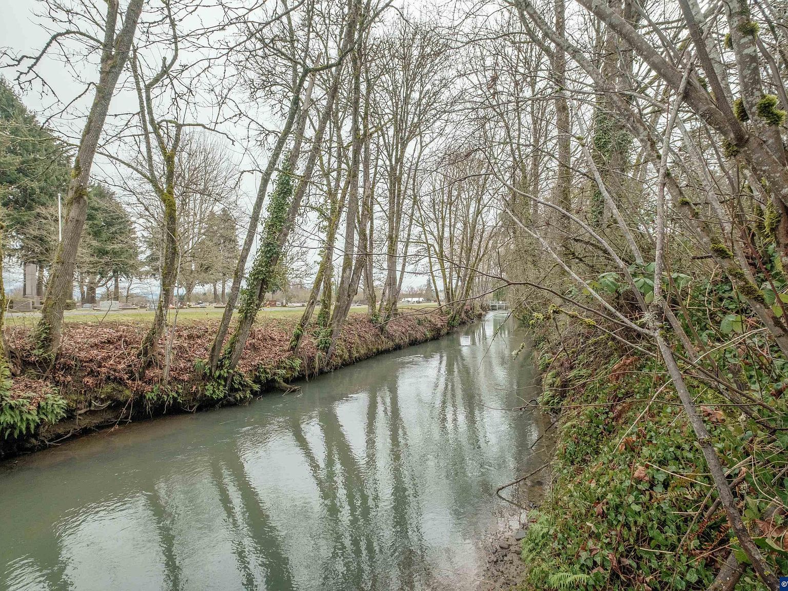 37295 Cemetery Rd Lebanon, OR 97355 - Thumbnail 4