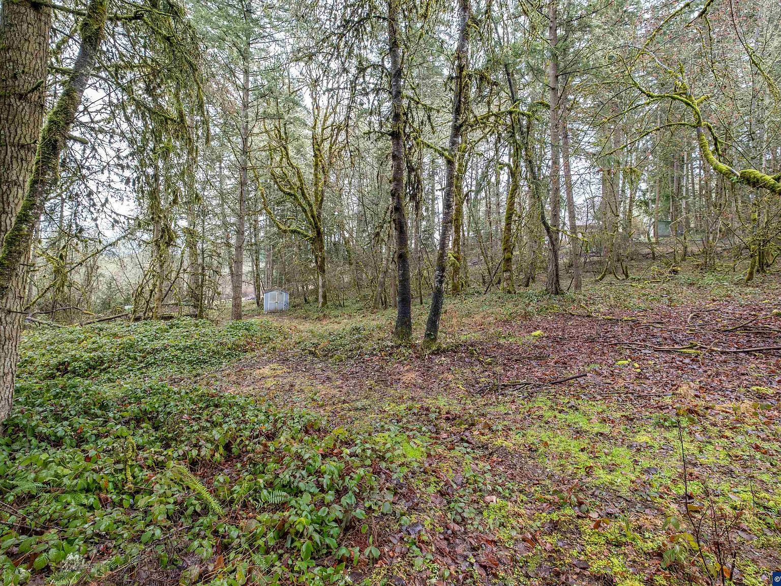 Pineway Rd LOT 2200 Lebanon, OR 97355 - Thumbnail 4