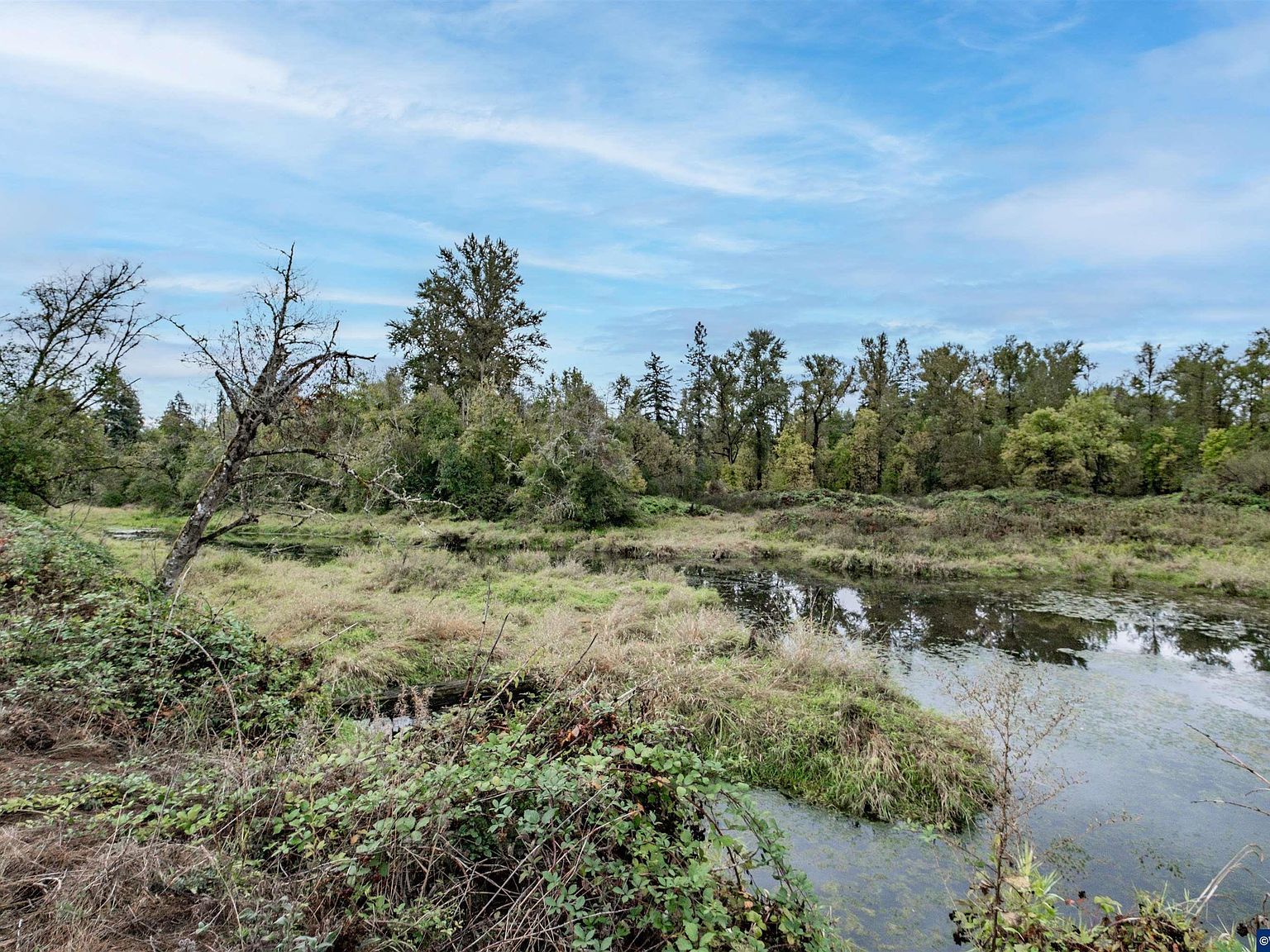 15984 N Santiam Hwy SE Stayton, OR 97383 - Thumbnail 4