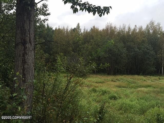 13601 S Knik Goose Bay Rd Wasilla, AK 99623 - Thumbnail 4