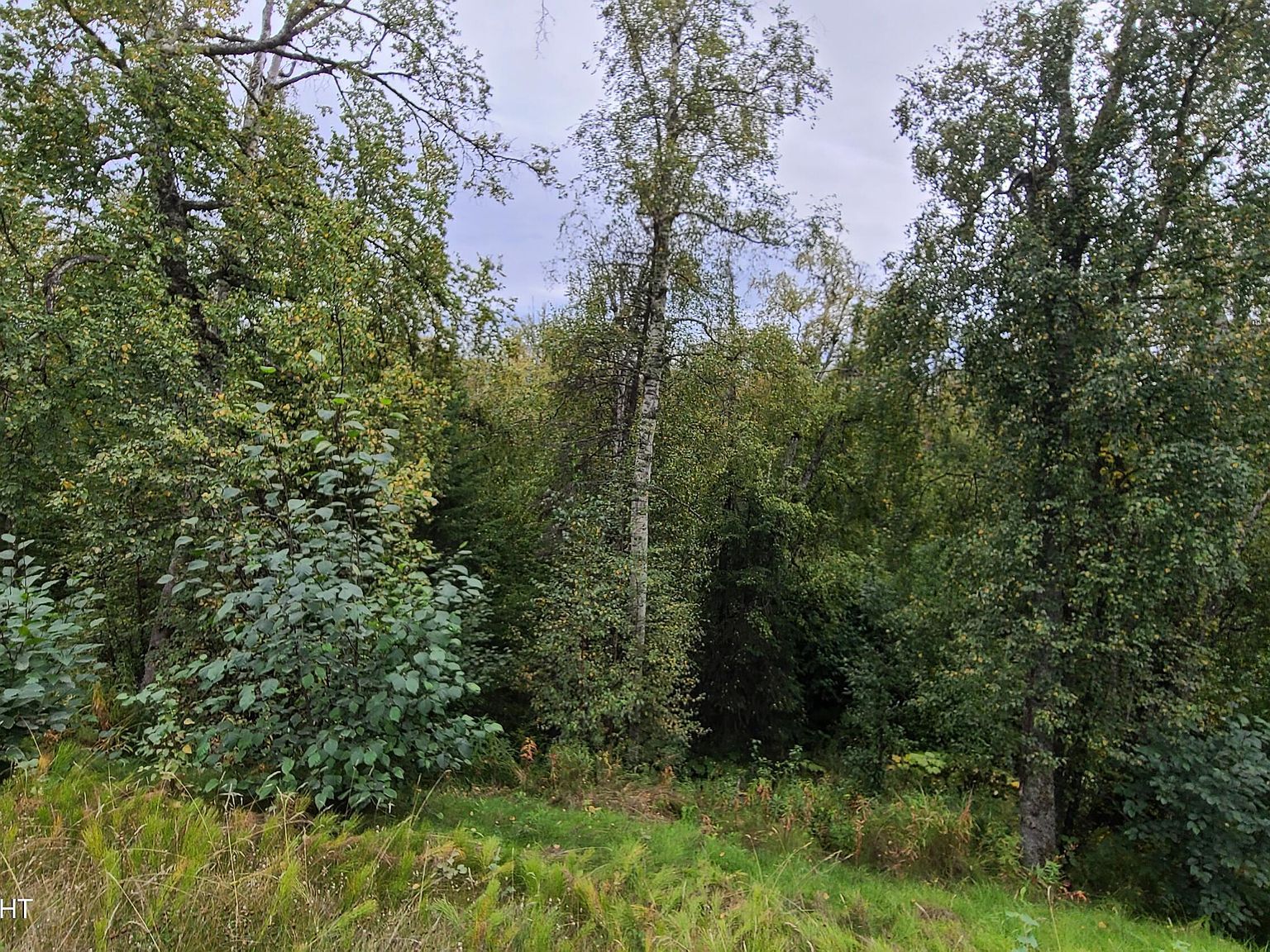 4248 W Little Rain Rd Wasilla, AK 99623 - Thumbnail 4