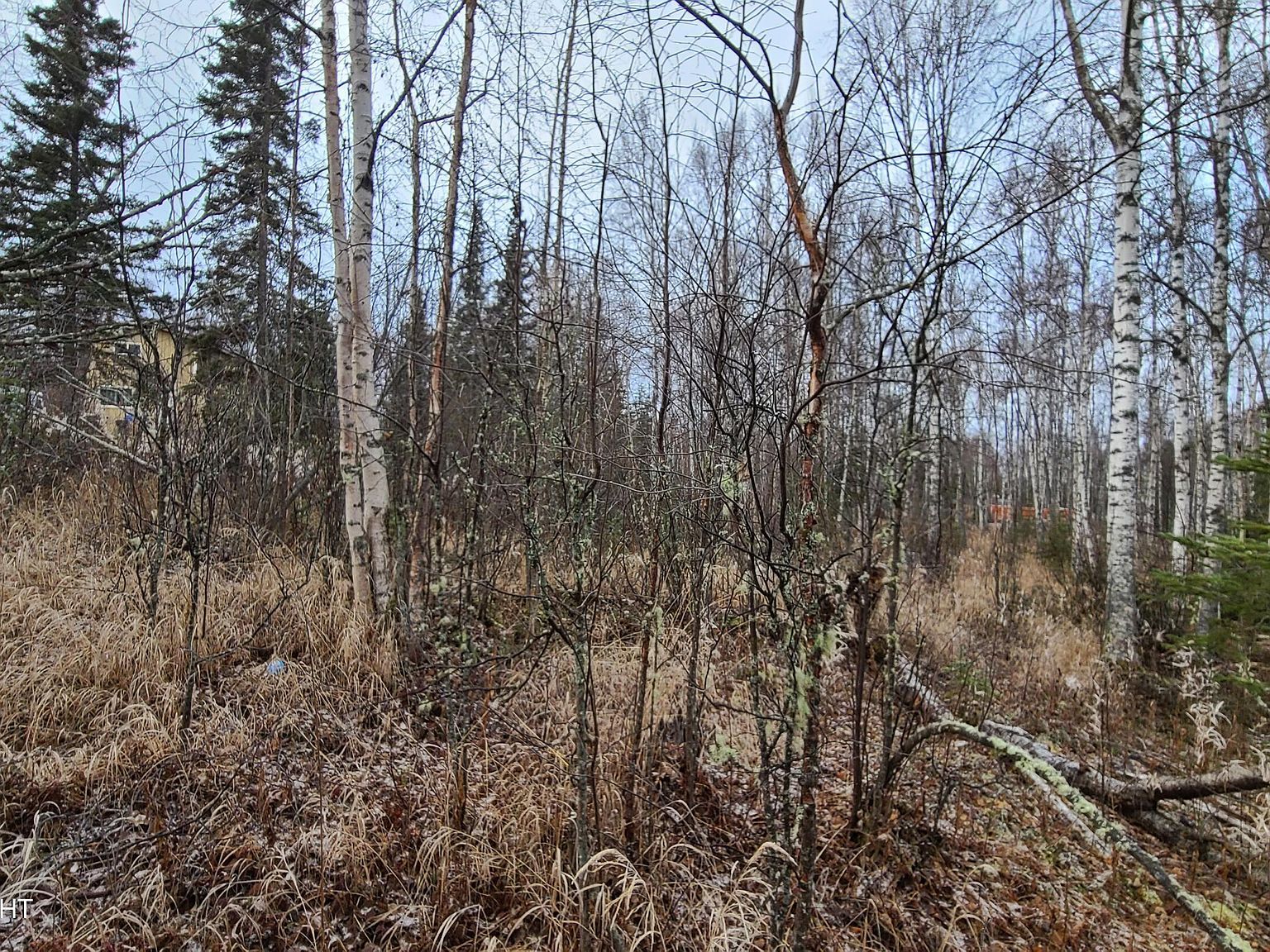 9111 W Sammie Cir Wasilla, AK 99623 - Thumbnail 4