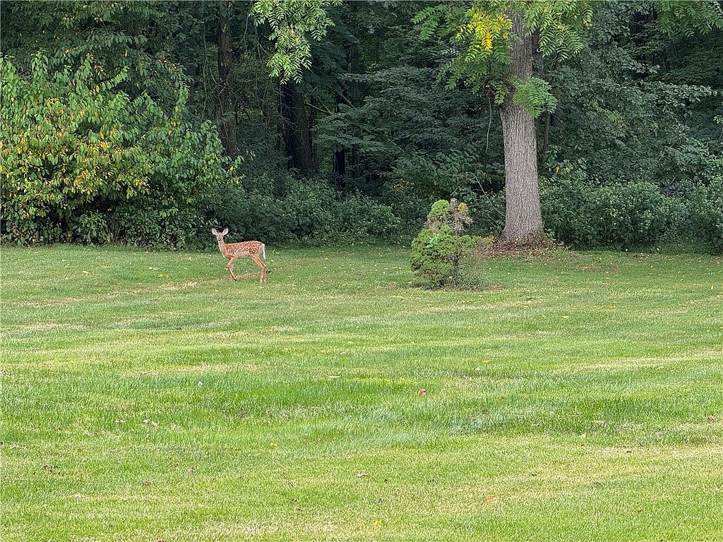 1810 Tony St New Castle, PA 16101 - Thumbnail 4