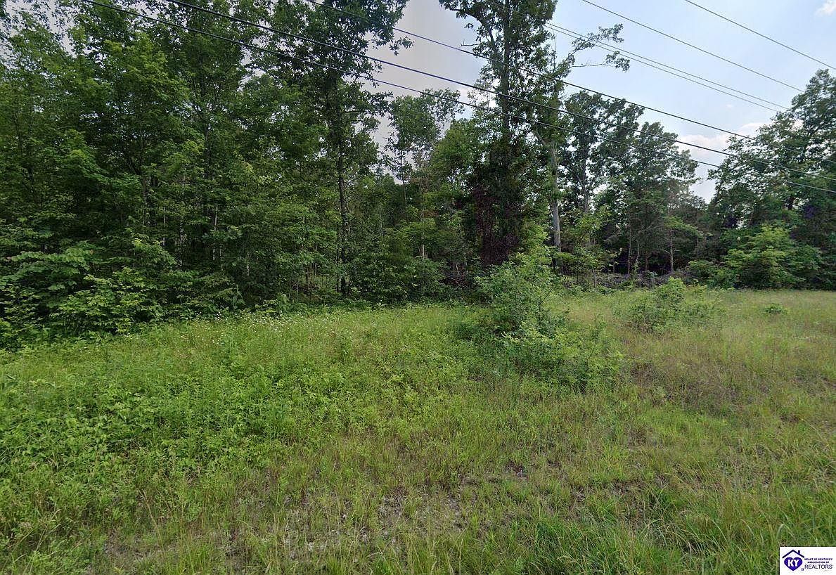 0 Blue Bird Rd Falls Of Rough, KY 40119 - Thumbnail 4