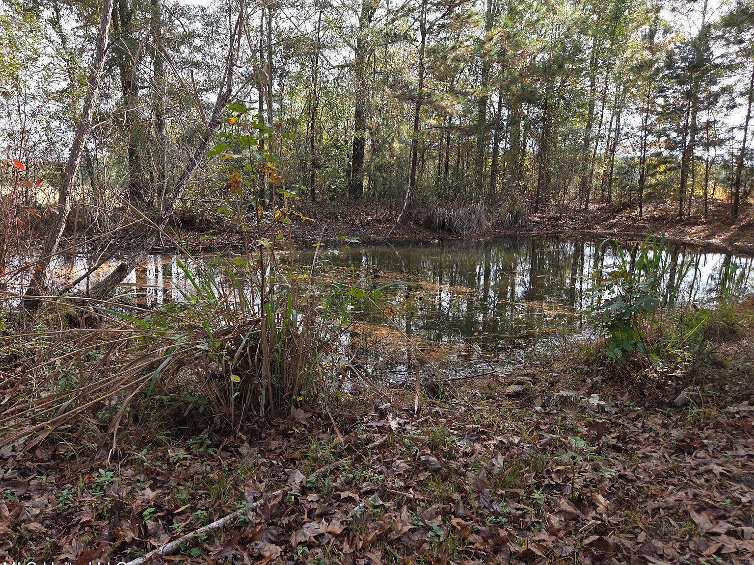 6699 County Road 280 Vossburg, MS 39366 - Thumbnail 4