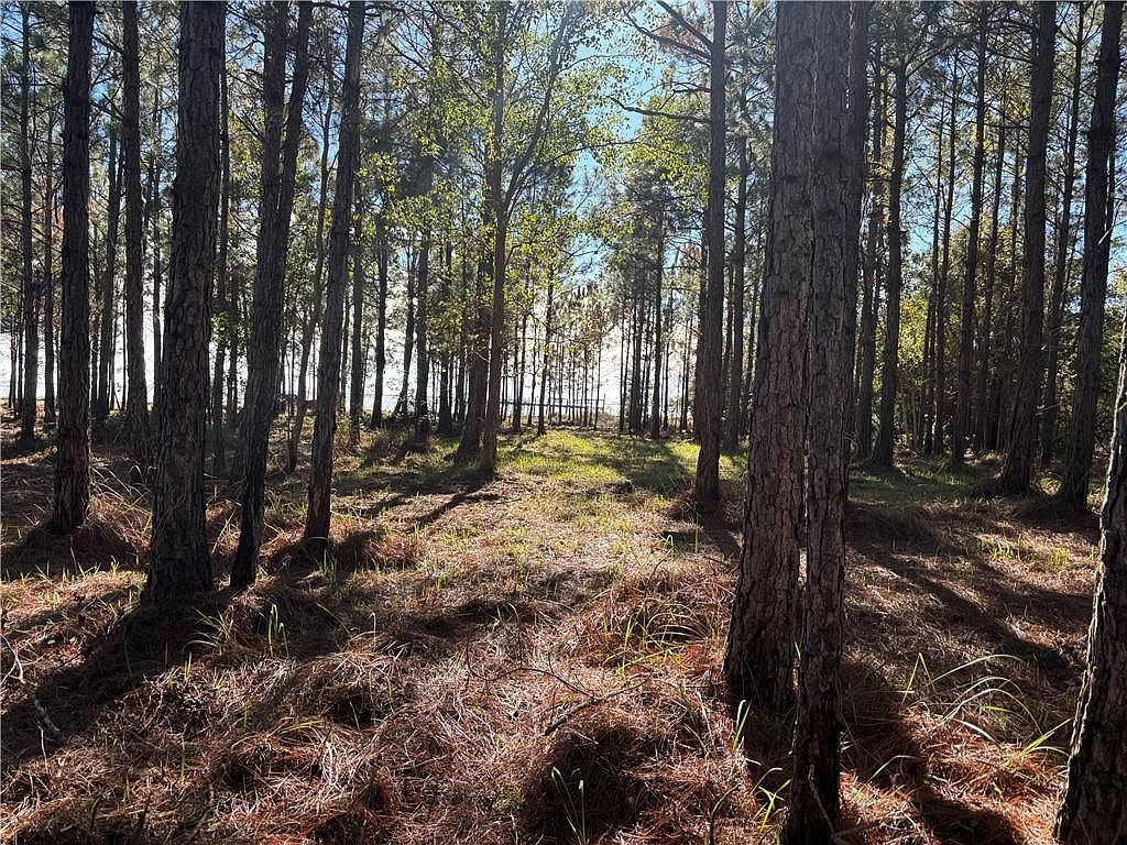 0 Shell Belt Rd S Coden, AL 36523 - Thumbnail 4