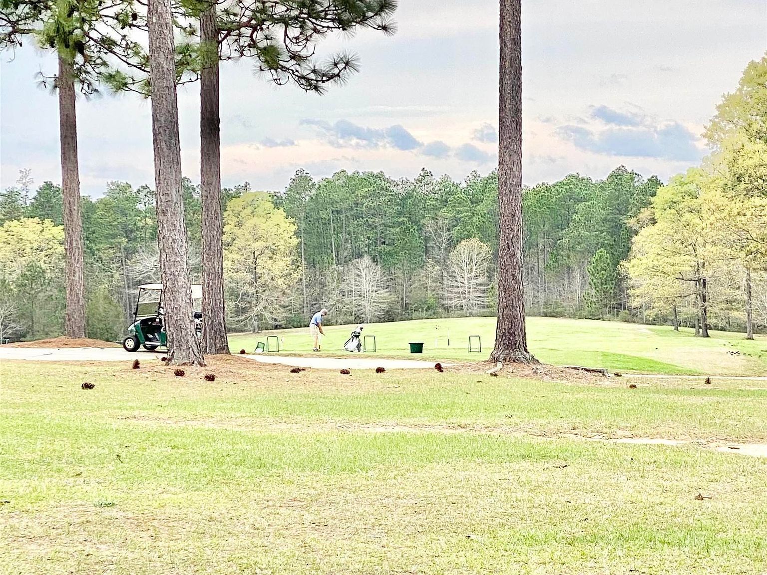 37 Juniper Creek Dr Brewton, AL 36426 - Thumbnail 4