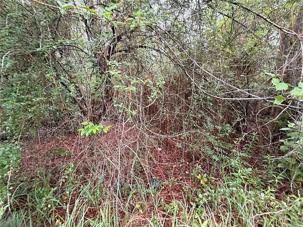 0 Laco Cooper Rd Mobile, AL 36609 - Thumbnail 4