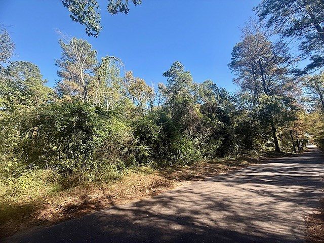 53546 County Road 87 Jasper, TX 75951 - Thumbnail 4