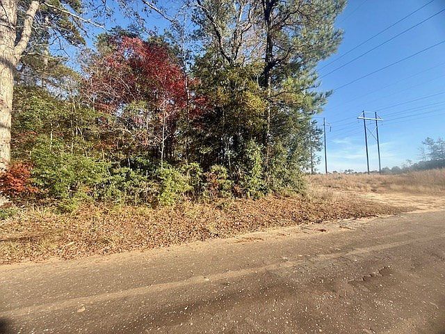 14494 County Road 87 Jasper, TX 75951 - Thumbnail 4