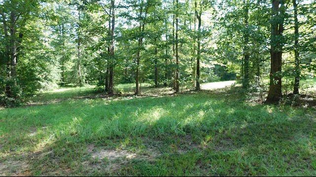 509 Eagle Estates Cir Hemphill, TX 75948 - Thumbnail 4