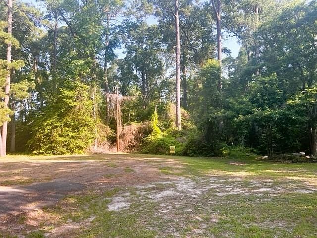 123 Davy Crockett Ct Hemphill, TX 75948 - Thumbnail 4