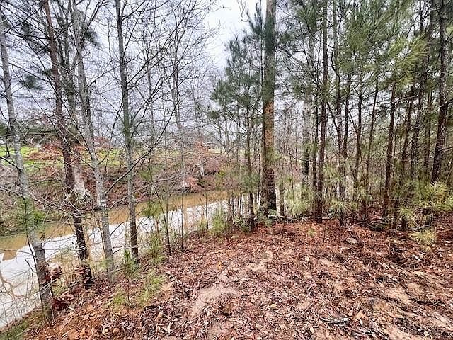 451 Old Tejas Trl Hemphill, TX 75948 - Thumbnail 4